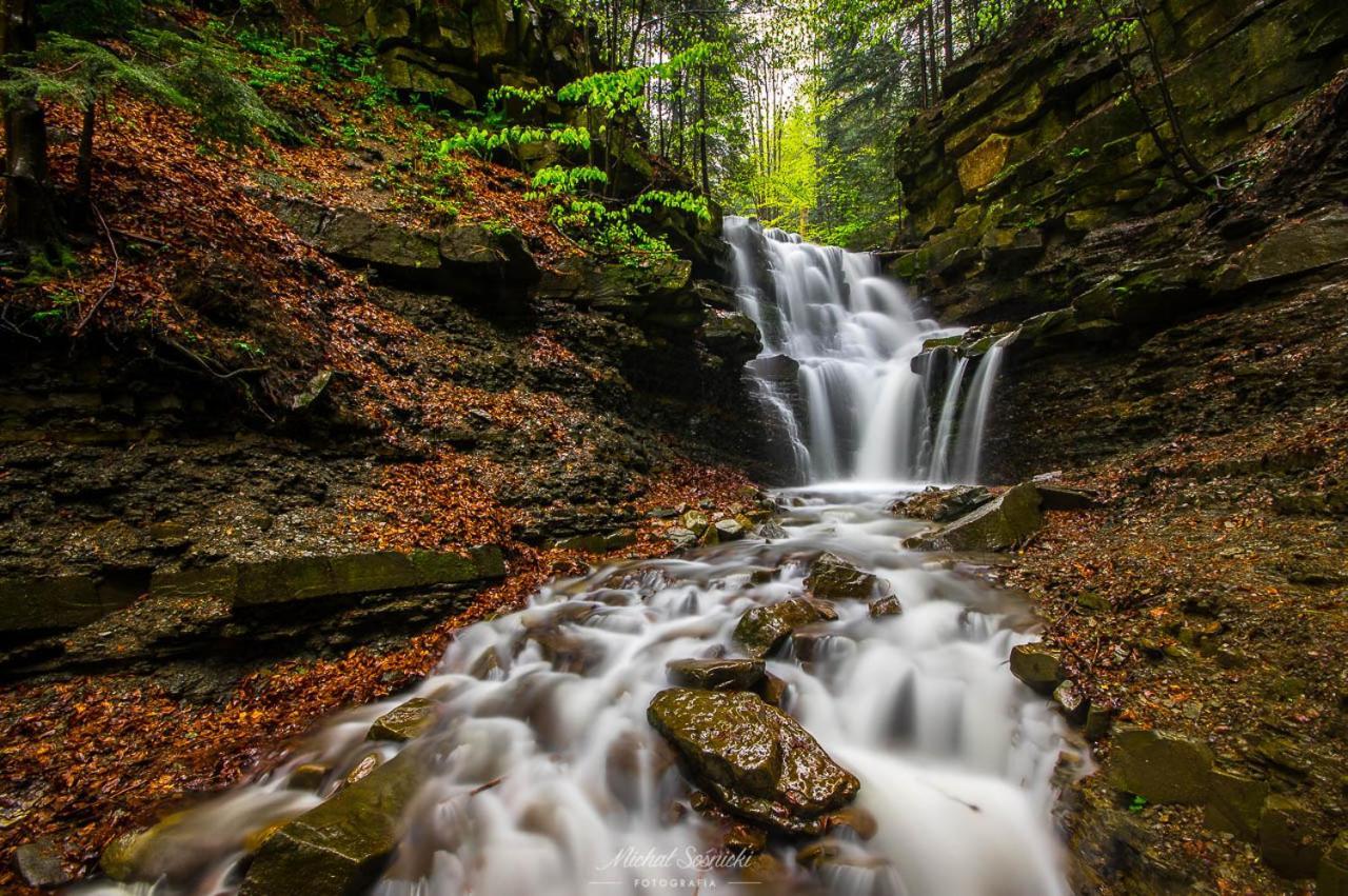 Beskid ซาวอยา ภายนอก รูปภาพ